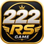 222RS Game