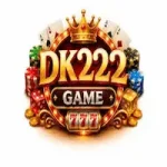 DK222 Game
